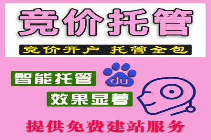 优化SEM广告投放：成功案例分享