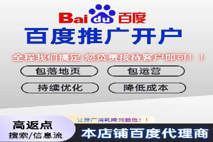 经典案例：SEM代运营服务公司的成功之路